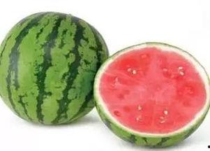 西昌17吃瓜视频,揭秘网络热点背后的真相