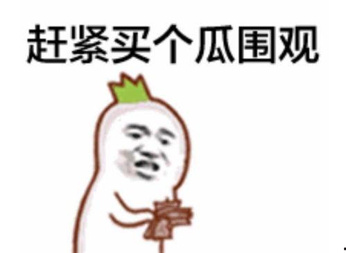 吃瓜群众大胖子视频大全,揭秘热门视频背后的趣味故事