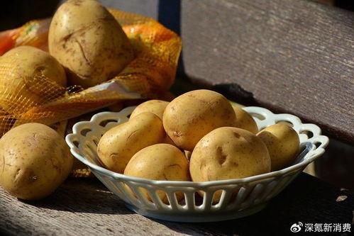 大瓜吃土豆视频大全播放,视频大全热门播放揭秘