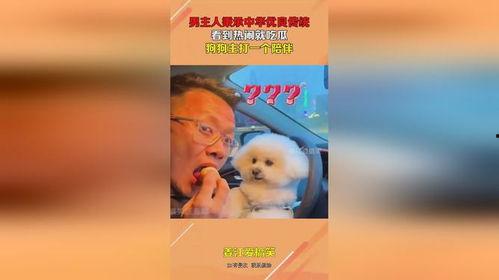 中国最强吃瓜狗视频,最强视频背后的热门现象