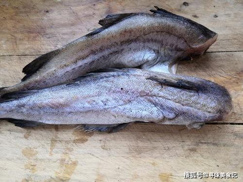 活八瓜鱼吃货视频播放,一场味蕾的盛宴之旅