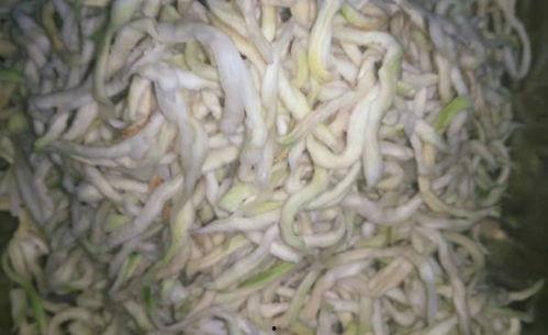 粉瓜丝怎么吃最好吃视频,视频教你最佳食用方法