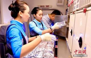 空姐厦航吃瓜视频,揭秘空中服务员的日常生活瞬间
