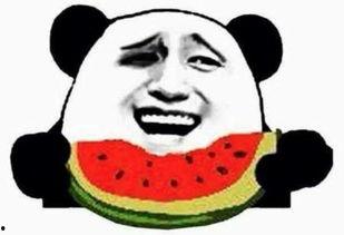 全网最热门吃瓜群众视频,全网热议！揭秘最热门吃瓜群众视频背后的真相