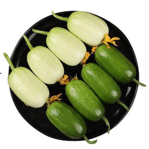 棒子瓜怎么吃最好吃视频,视频教你如何烹饪最佳口感