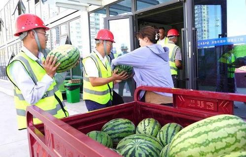 韩城大事件吃瓜群众视频,吃瓜群众视角下的热点追踪