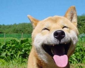 瓜哥带你吃瓜子搞笑视频,瓜子搞笑视频集锦