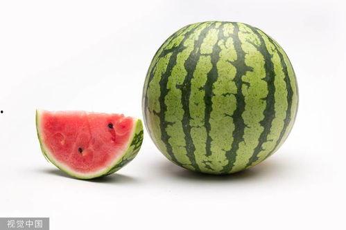 吃瓜摆烂视频大全集,全网热门视频大盘点