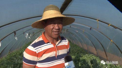 平远吃瓜群众事件视频播放,网络视频揭示的社区冲突瞬间